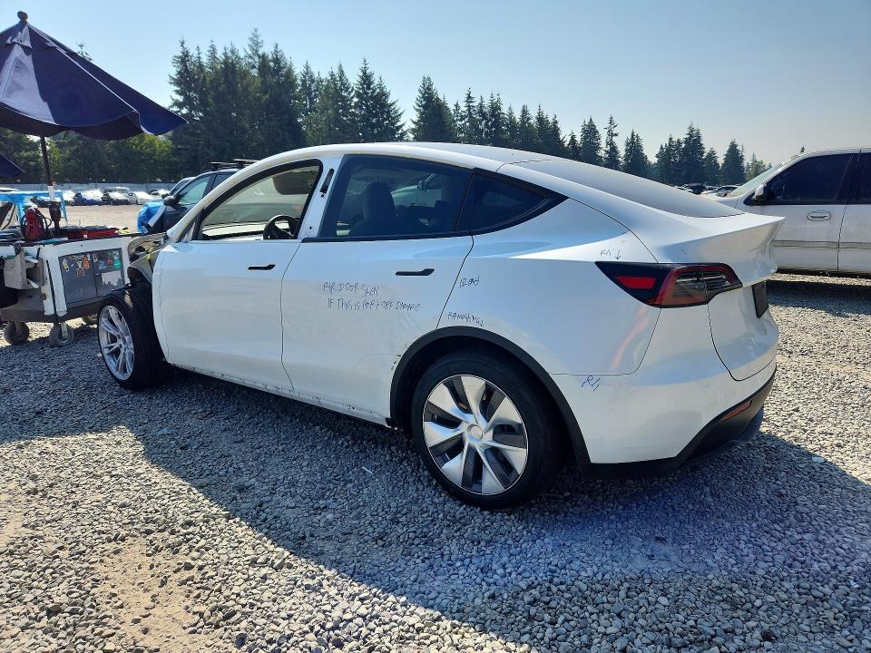 Aukcja sprzedaży 2024 Tesla Model Y, vin: 7SAYGDEE3RF075495, numer aukcji: 64226066