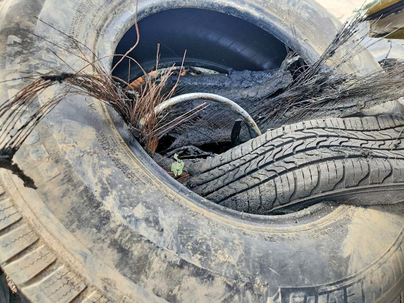 2024 Subaru Outback მანქანა იყიდება აუქციონზე, vin: 4S4BTAAC0R3116949, აუქციონის ნომერი: 65492406
