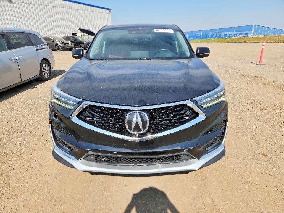 66639766 :رقم المزاد ، 5J8TC2H99KL807722 vin ، 2019 Acura Rdx مزاد بيع