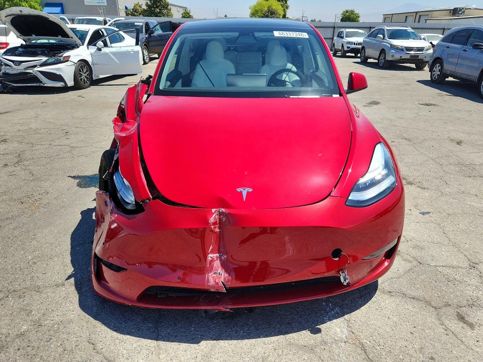 Продаж на аукціоні авто 2021 Tesla Model Y, vin: 5YJYGAED5MF177084, номер лоту: 66337346