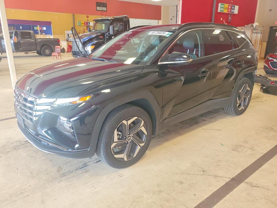 Auction sale of the 2024 Hyundai Tucson, vin: KM8JFDD28RU138862, lot number: 66739026