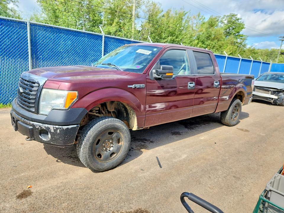 Продаж на аукціоні авто 2010 Ford F150, vin: 1FTFW1E85AFB63982, номер лоту: 66688346