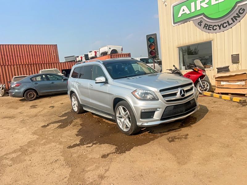 Продажа на аукционе авто 2013 Mercedes-benz Gl, vin: 4JGDF7DE8DA124091, номер лота: 63808146