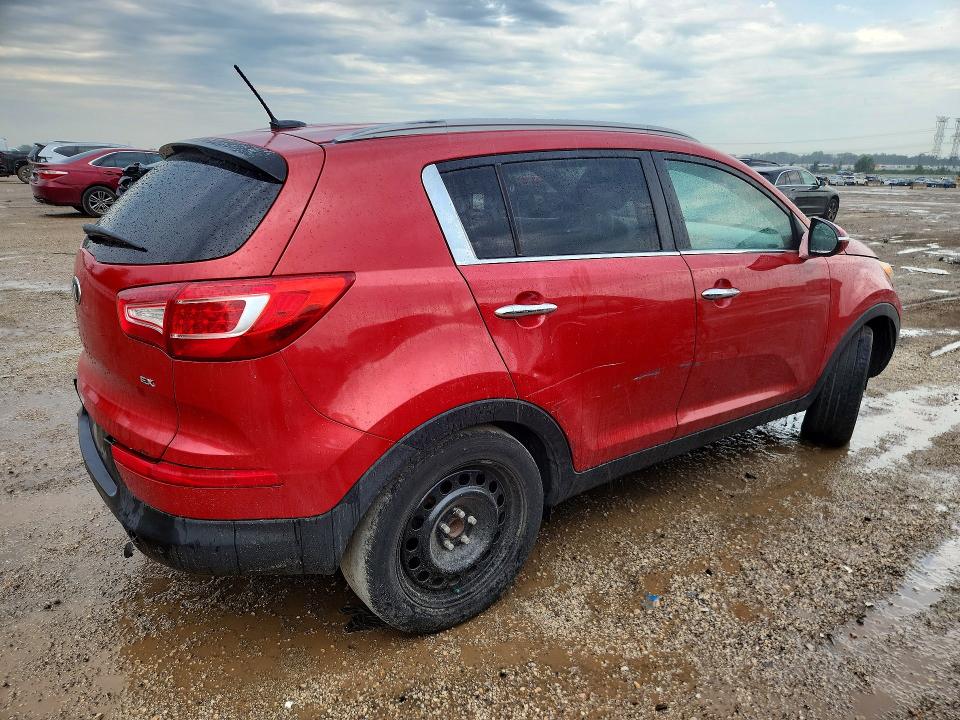 Продаж на аукціоні авто 2013 Kia Sportage, vin: KNDPC3A20D7365704, номер лоту: 66830696