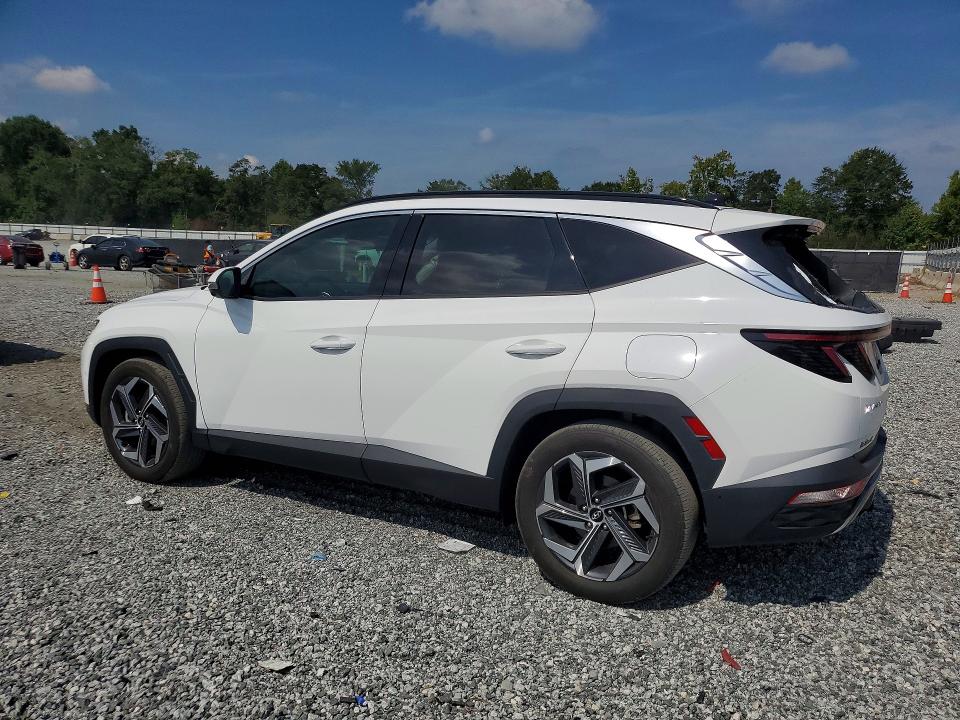 2024 Hyundai Tucson მანქანა იყიდება აუქციონზე, vin: 5NMJE3DE8RH440218, აუქციონის ნომერი: 67002926