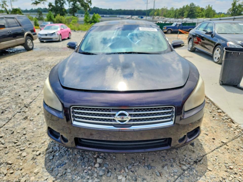 66559646 :رقم المزاد ، 1N4AA5AP5AC802124 vin ، 2010 Nissan Maxima مزاد بيع