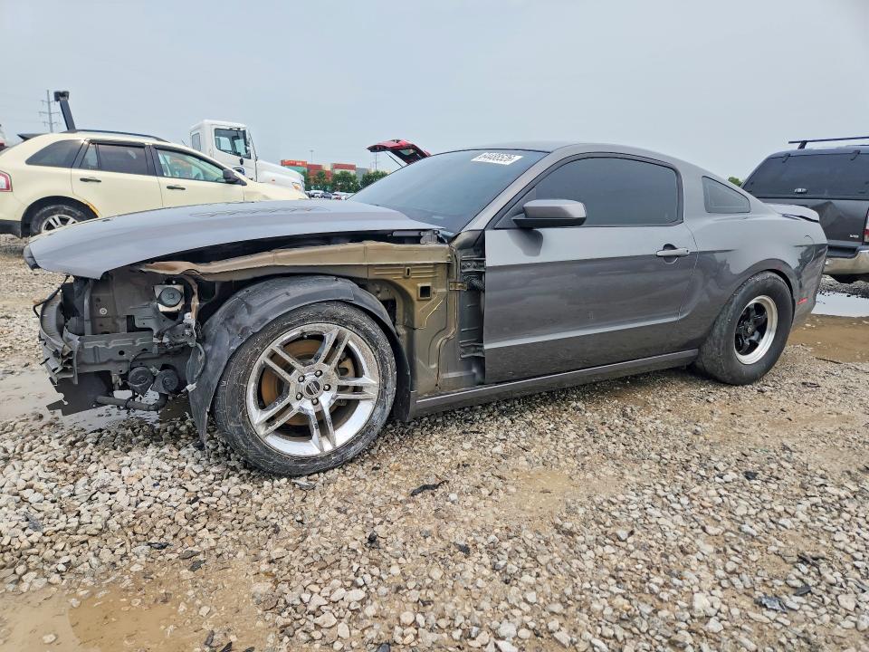 Продаж на аукціоні авто 2013 Ford Mustang, vin: 1ZVBP8CF5D5231579, номер лоту: 64488526