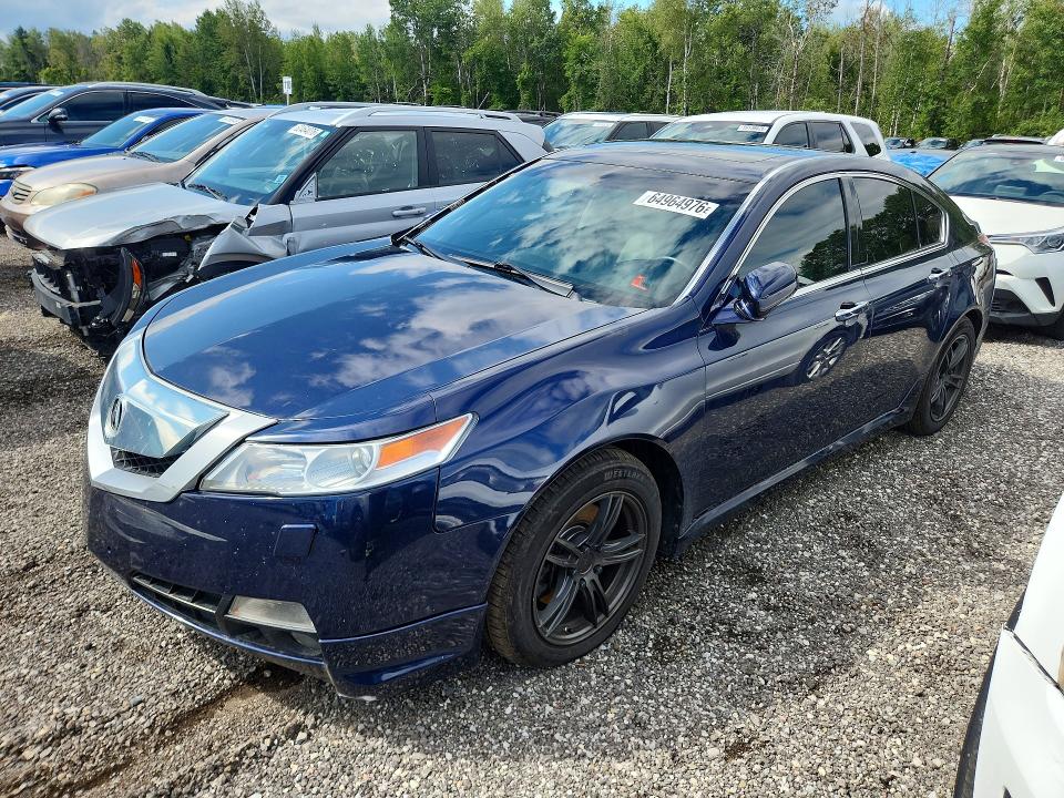 64964976 :رقم المزاد ، 19UUA96539A800855 vin ، 2009 Acura Tl مزاد بيع