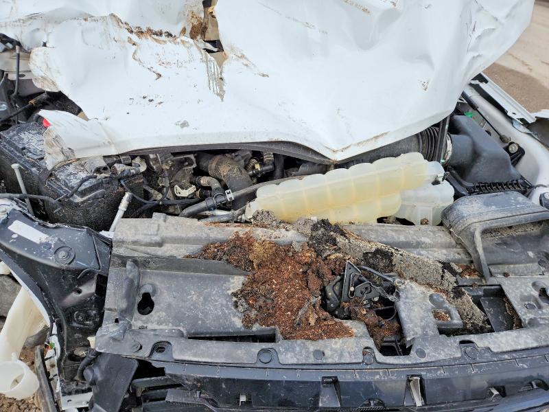65843266 :رقم المزاد ، 1FTFW3LD1RFB44398 vin ، 2024 Ford F150 مزاد بيع