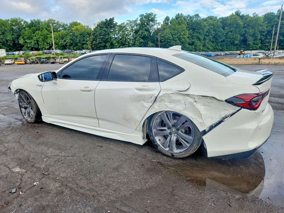 Продаж на аукціоні авто 2025 Acura Tlx, vin: 19UUB7F05SA001364, номер лоту: 63470866