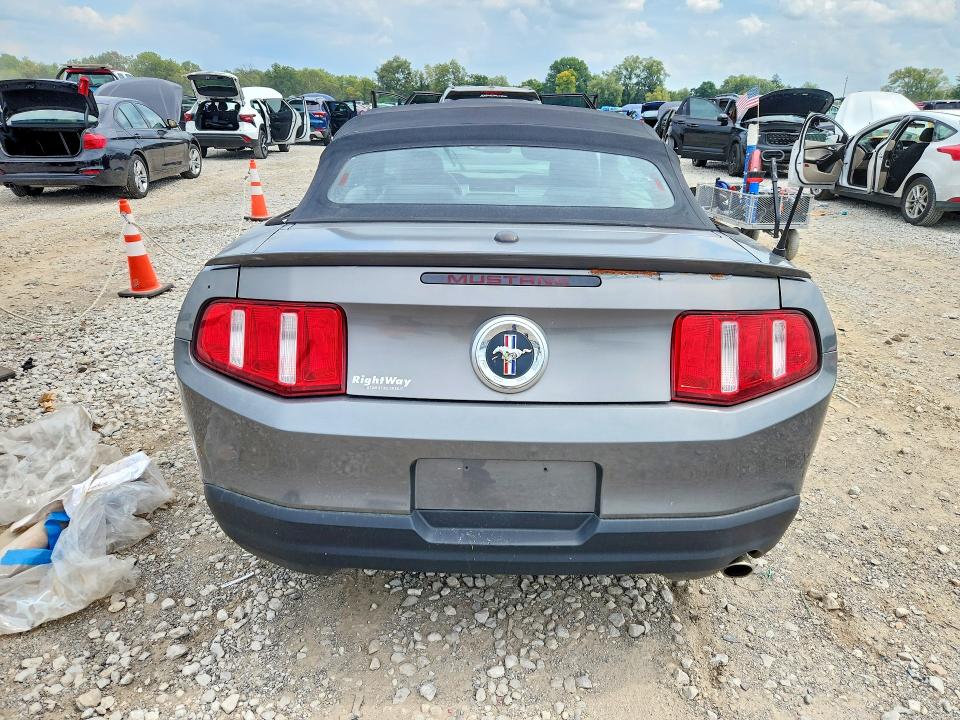 Продажа на аукционе авто 2010 Ford Mustang, vin: 1ZVBP8EN3A5165307, номер лота: 66980866