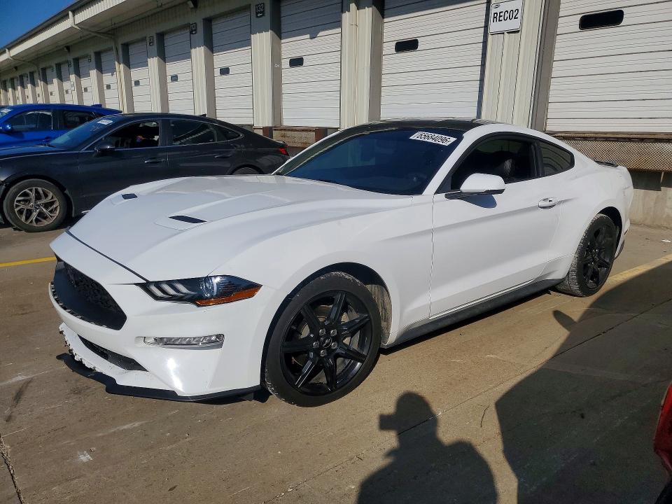 65684096 :رقم المزاد ، 1FA6P8TH7K5123232 vin ، 2019 Ford Mustang مزاد بيع