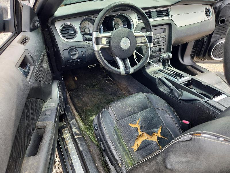 Продажа на аукционе авто 2010 Ford Mustang, vin: 1ZVBP8EN3A5165307, номер лота: 66980866