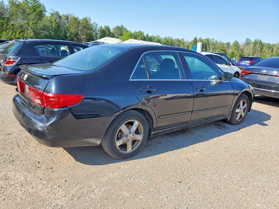 Продаж на аукціоні авто 2005 Honda Accord, vin: 1HGCM56695A816492, номер лоту: 63149336