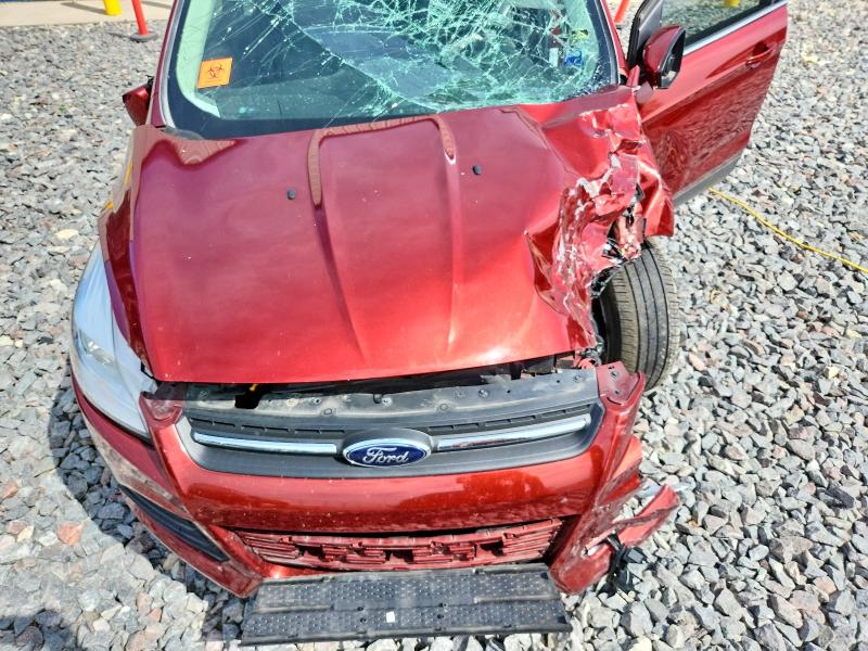 Aukcja sprzedaży 2014 Ford Escape, vin: 1FMCU9G99EUB63199, numer aukcji: 66360426