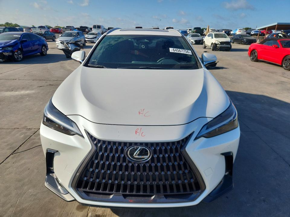 64567756 :رقم المزاد ، 2T2GGCEZ3NC012977 vin ، 2022 Lexus Nx مزاد بيع