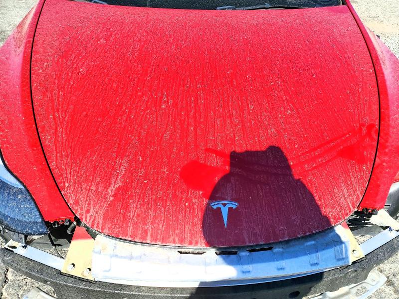 Aukcja sprzedaży 2023 Tesla Model Y, vin: 7SAYGDEF1PF977276, numer aukcji: 62529356
