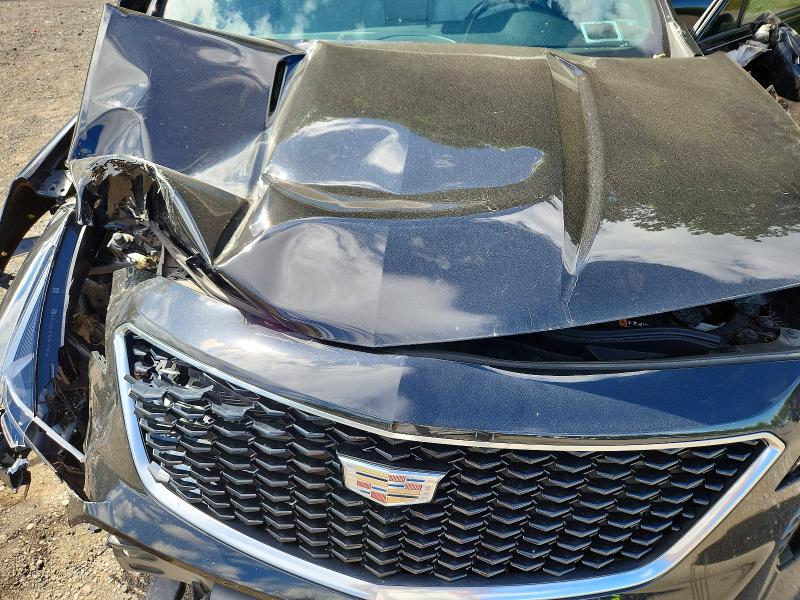 Aukcja sprzedaży 2019 Cadillac Xt4, vin: 1GYFZFR45KF115499, numer aukcji: 65729846