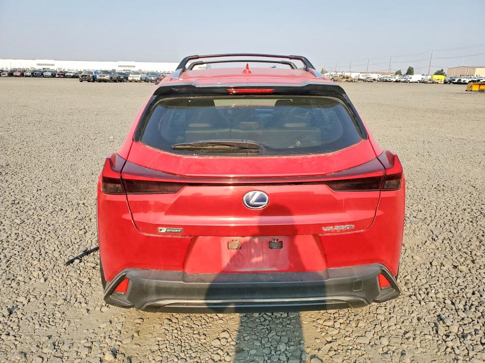 Продажа на аукционе авто 2019 Lexus Ux, vin: JTHU9JBH2K2010972, номер лота: 64933056