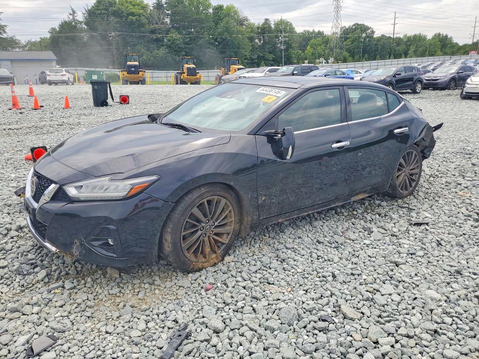 Продаж на аукціоні авто 2019 Nissan Maxima, vin: 1N4AA6AV6KC376644, номер лоту: 64436146