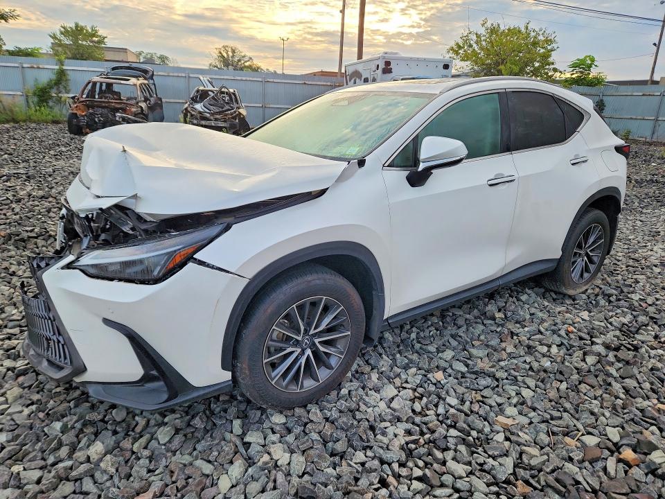 Продаж на аукціоні авто 2025 Lexus Nx 250, vin: 2T2ADCEZ9SC005509, номер лоту: 65487076