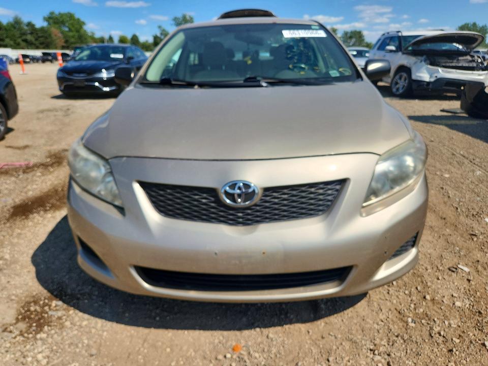 66310966 :رقم المزاد ، 2T1BU40E79C122129 vin ، 2009 Toyota Corolla مزاد بيع
