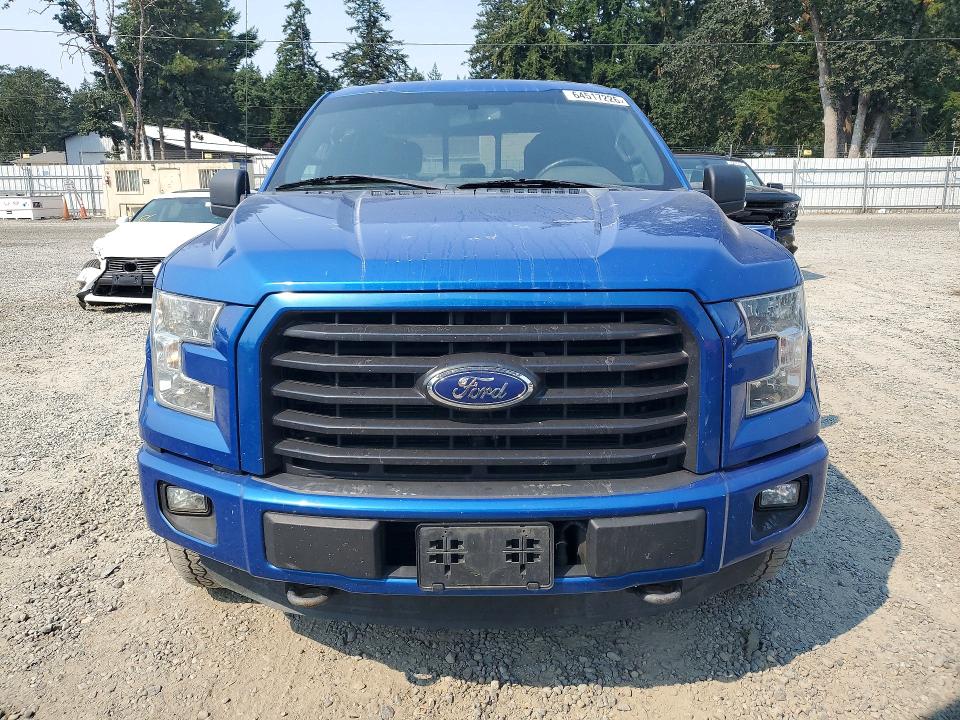 64517226 :رقم المزاد ، 1FTEW1EP1GFD01013 vin ، 2016 Ford F150 مزاد بيع