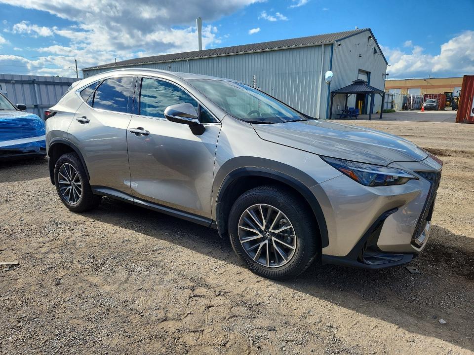2025 Lexus Nx მანქანა იყიდება აუქციონზე, vin: 2T2GGCEZ7SC071302, აუქციონის ნომერი: 66336096