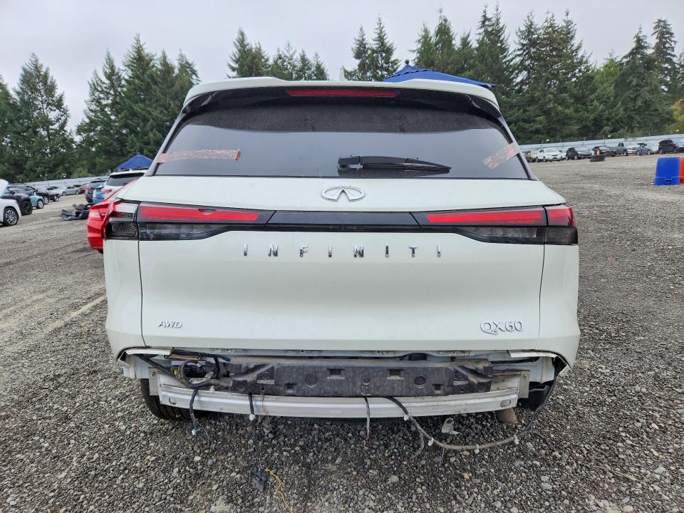 Auction sale of the 2023 Infiniti Qx60, vin: 5N1DL1GS5PC346684, lot number: 64234056