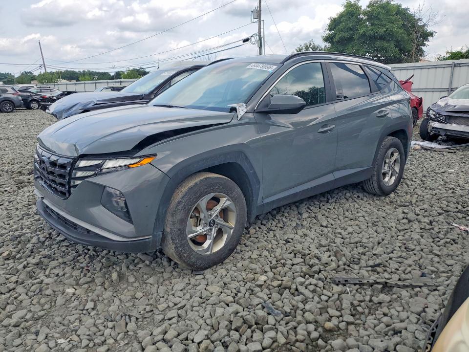 Продаж на аукціоні авто 2024 Hyundai Tucson, vin: 5NMJBCDEXRH296048, номер лоту: 64479596
