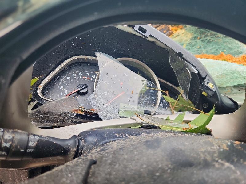 2015 Toyota Rav4 მანქანა იყიდება აუქციონზე, vin: JTMRFREVXFD114605, აუქციონის ნომერი: 64813476