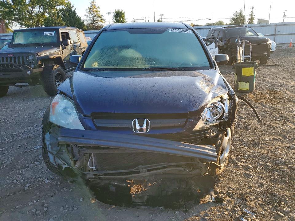 Aukcja sprzedaży 2009 Honda Cr-v, vin: 5J6RE48319L061815, numer aukcji: 66513046