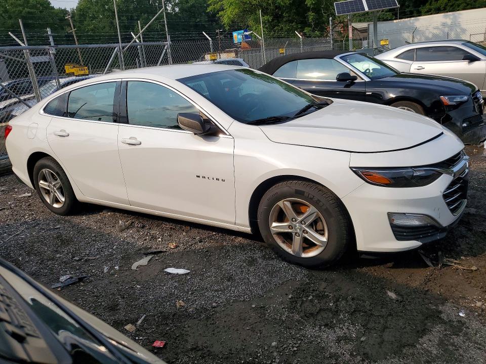 Продаж на аукціоні авто 2020 Chevrolet Malibu, vin: 1G1ZB5ST5LF156986, номер лоту: 64646986