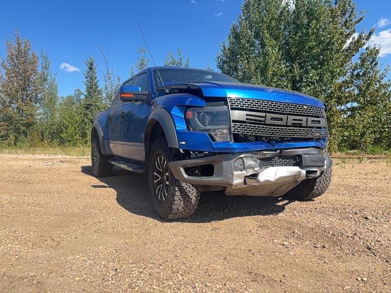 Auction sale of the 2013 Ford F150, vin: 1FTFW1R67DFB78755, lot number: 66118146