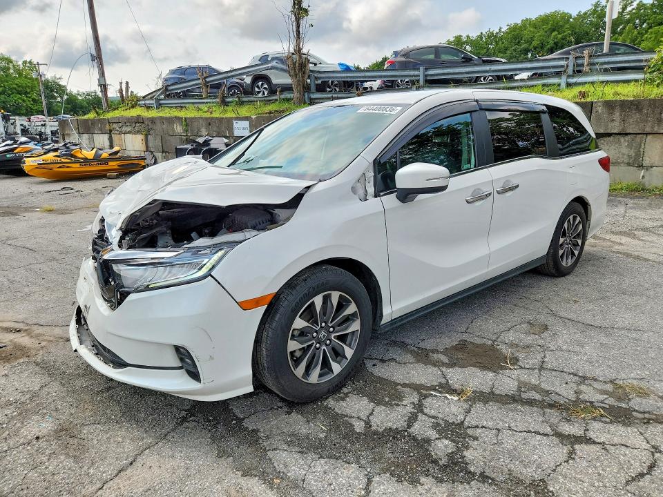 Auction sale of the 2024 Honda Odyssey, vin: 5FNRL6H65RB033598, lot number: 64400836