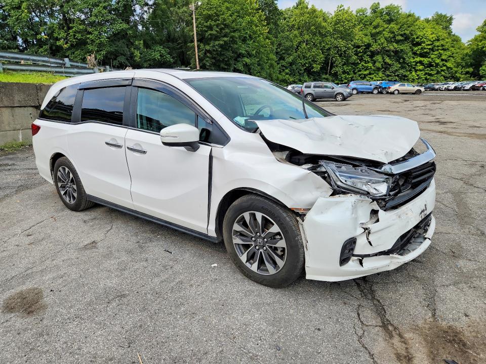 Auction sale of the 2024 Honda Odyssey, vin: 5FNRL6H65RB033598, lot number: 64400836