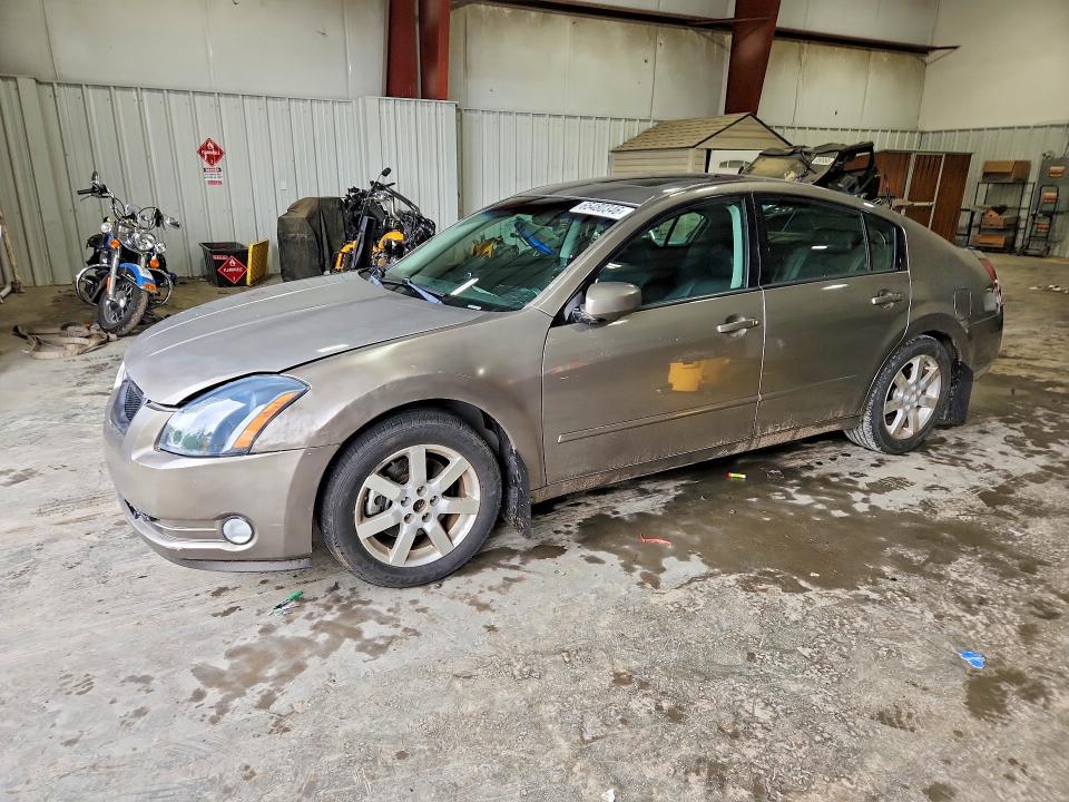 Продаж на аукціоні авто 2006 Nissan Maxima, vin: 1N4BA41E26C859269, номер лоту: 65480346
