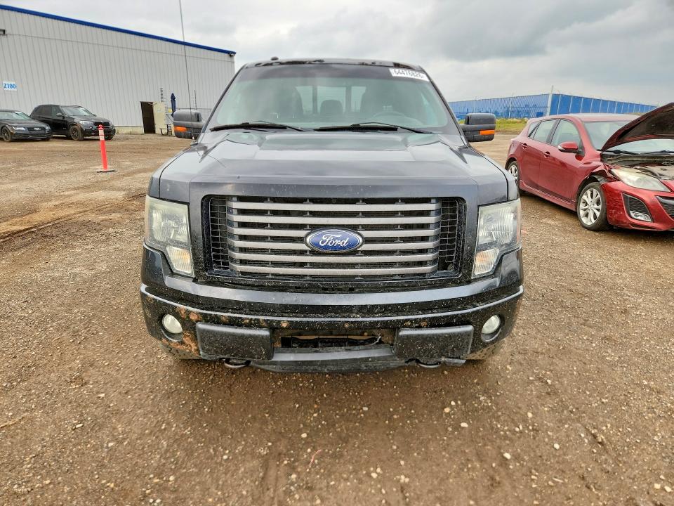 64476826 :رقم المزاد ، 1FTFW1EF5BFC24389 vin ، 2011 Ford F150 مزاد بيع