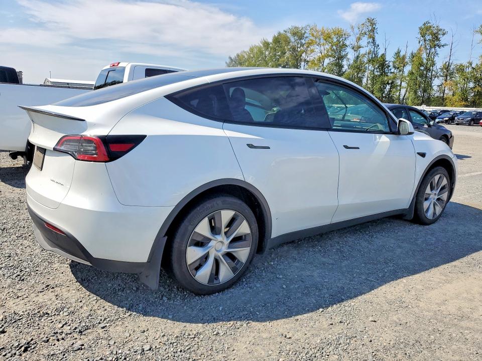 Aukcja sprzedaży 2023 Tesla Model Y, vin: 7SAYGDEE9PF874873, numer aukcji: 67397816
