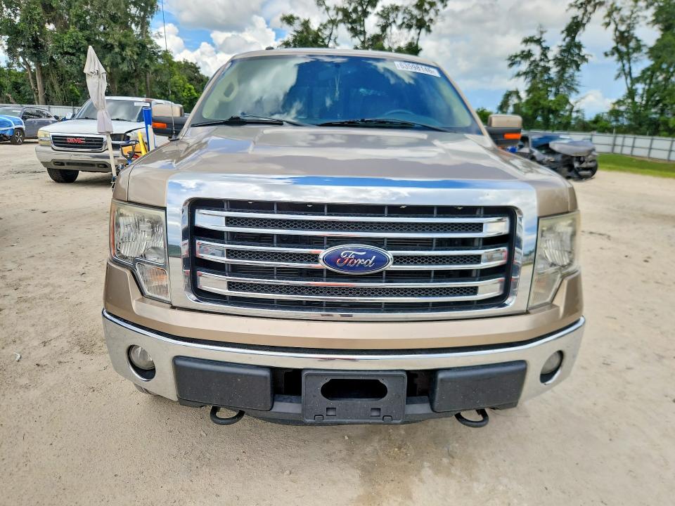 63598146 :رقم المزاد ، 1FTFW1EF1DFA58360 vin ، 2013 Ford F150 مزاد بيع