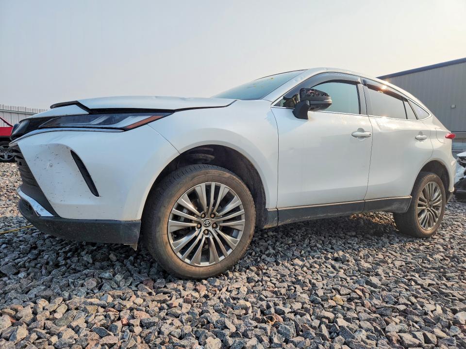 Aukcja sprzedaży 2024 Toyota Venza, vin: JTEAAAAH5RJ175133, numer aukcji: 64090376