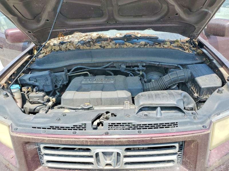 Продаж на аукціоні авто 2007 Honda Ridgeline, vin: 2HJYK16477H532098, номер лоту: 64700156