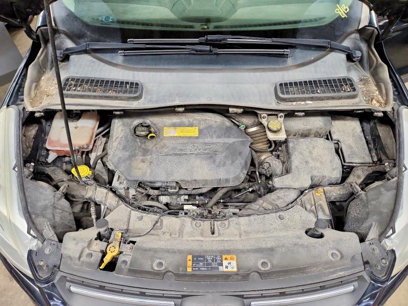 2016 Ford Escape მანქანა იყიდება აუქციონზე, vin: 1FMCU9GX6GUB32364, აუქციონის ნომერი: 65338986