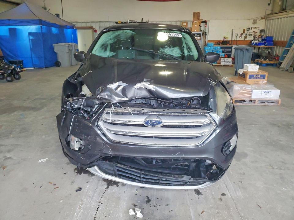Продаж на аукціоні авто 2019 Ford Escape, vin: 1FMCU0GD4KUB19882, номер лоту: 66291746