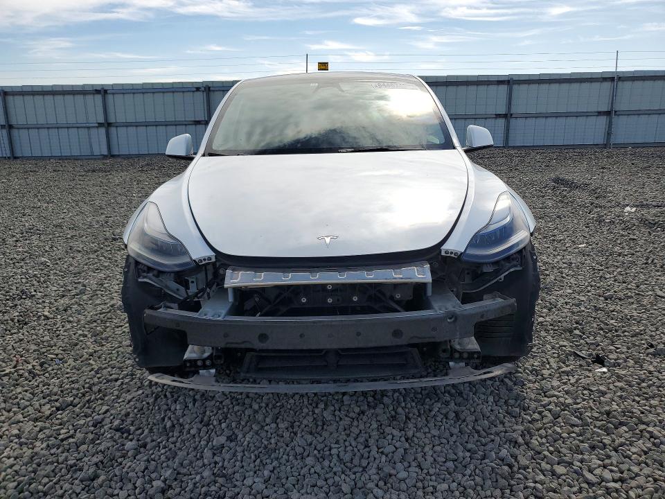 Продаж на аукціоні авто 2024 Tesla Model Y, vin: 7SAYGDEE7RA259139, номер лоту: 64467406
