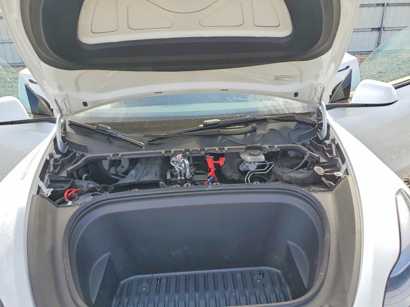 Продаж на аукціоні авто 2024 Tesla Model Y, vin: 7SAYGDEE7RA259139, номер лоту: 64467406