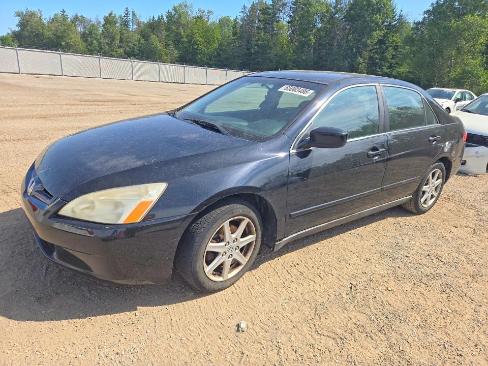 2005 Honda Accord მანქანა იყიდება აუქციონზე, vin: 1HGCM66375A800156, აუქციონის ნომერი: 65003486
