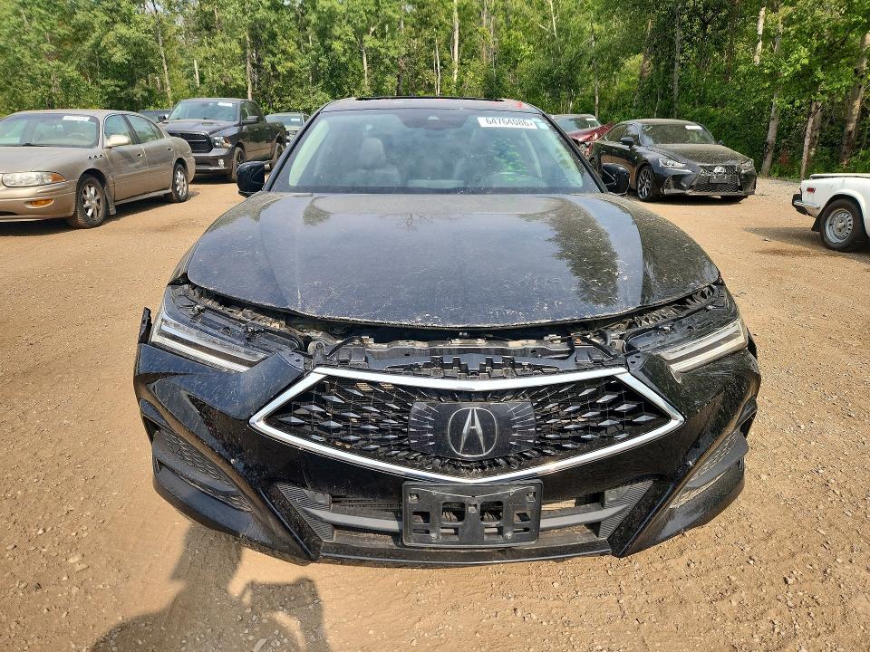 Aukcja sprzedaży 2021 Acura Tlx, vin: 19UUB6F30MA801061, numer aukcji: 64764086