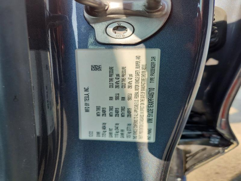 2023 Tesla Model 3 მანქანა იყიდება აუქციონზე, vin: 5YJ3E1EAXPF446710, აუქციონის ნომერი: 63591366