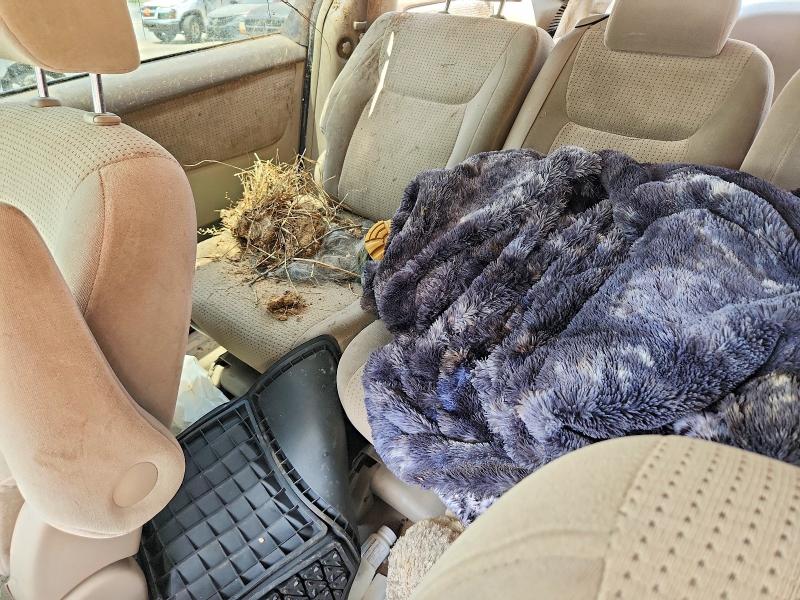 63713826 :رقم المزاد ، 5TDZK23C99S284726 vin ، 2009 Toyota Sienna مزاد بيع